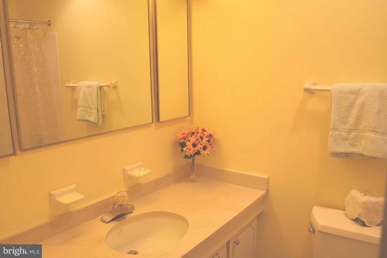 8409 Greeley Boulevard Springfield, VA 22152 - Photo 14 of 28 Bath #2