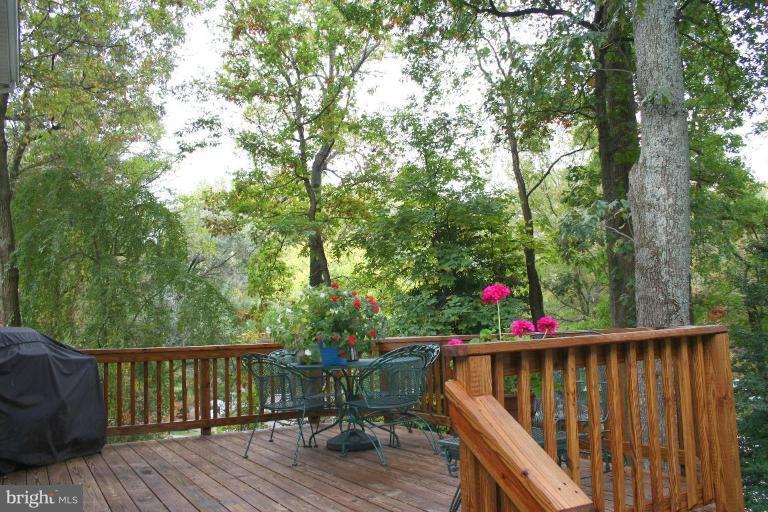 8409 Greeley Boulevard Springfield, VA 22152 - Photo 18 of 28 Deck - View from