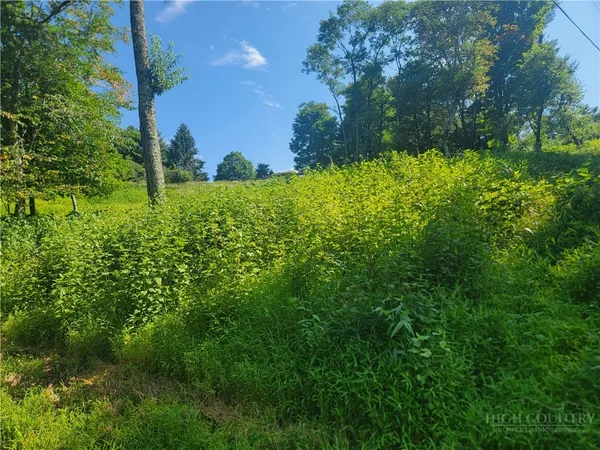 $50,000 | Lot 67 Center Court Drive, Boone, NC 28607