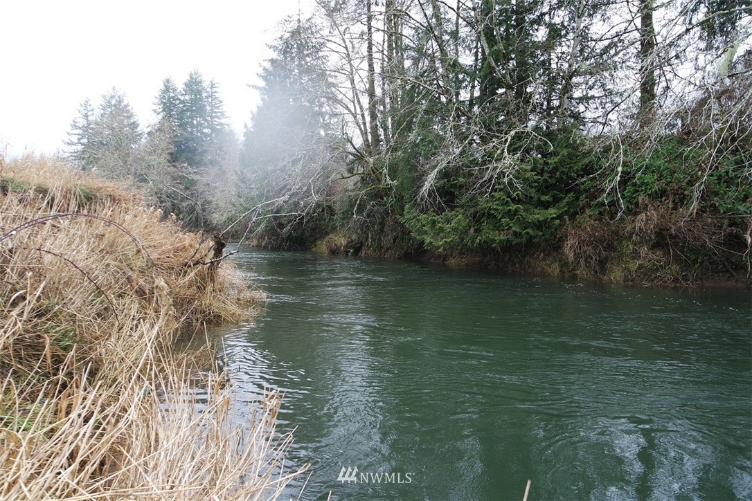 -xxx Xxx Doyle Road Raymond, WA 98577 - Photo 1 of 24 Gallery Image 1