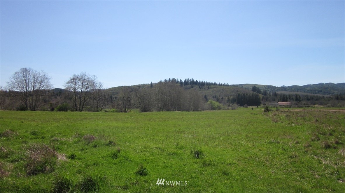 -xxx Xxx Doyle Road Raymond, WA 98577 - Photo 2 of 24 Gallery Image 2