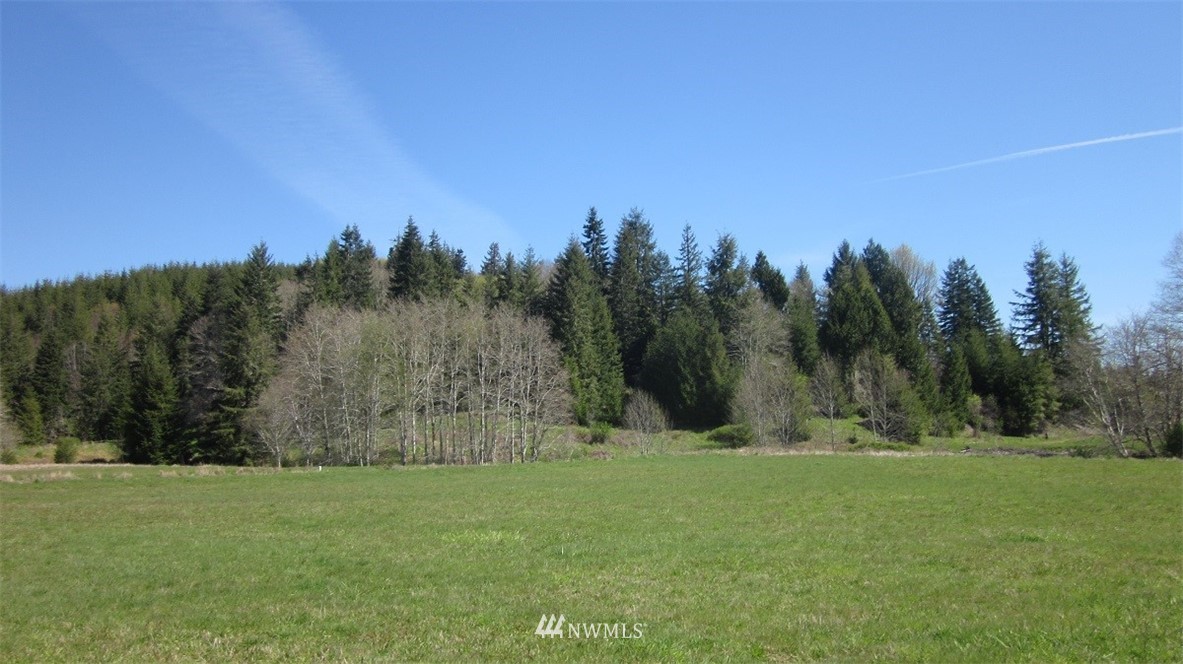 -xxx Xxx Doyle Road Raymond, WA 98577 - Photo 11 of 24 Gallery Image 11