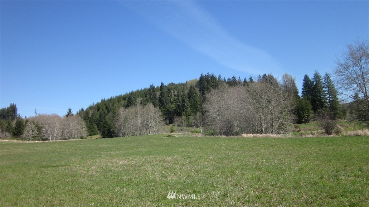 -xxx Xxx Doyle Road Raymond, WA 98577 - Photo 12 of 24 Gallery Image 12