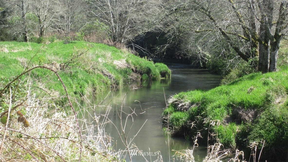 -xxx Xxx Doyle Road Raymond, WA 98577 - Photo 13 of 24 Gallery Image 13
