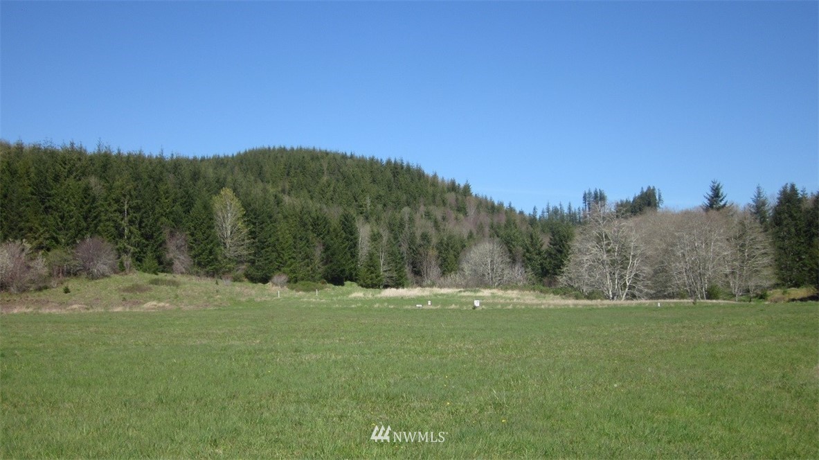 -xxx Xxx Doyle Road Raymond, WA 98577 - Photo 14 of 24 Gallery Image 14