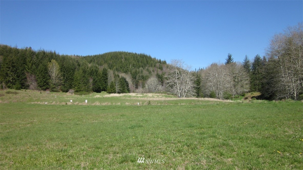-xxx Xxx Doyle Road Raymond, WA 98577 - Photo 16 of 24 Gallery Image 16