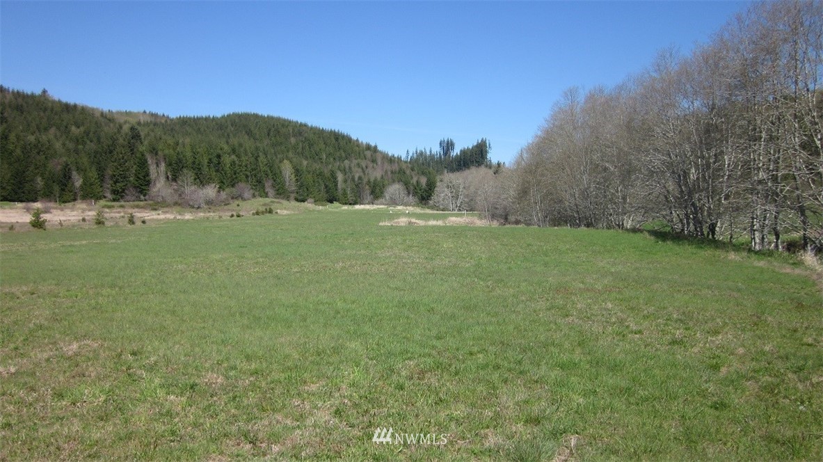 -xxx Xxx Doyle Road Raymond, WA 98577 - Photo 17 of 24 Gallery Image 17