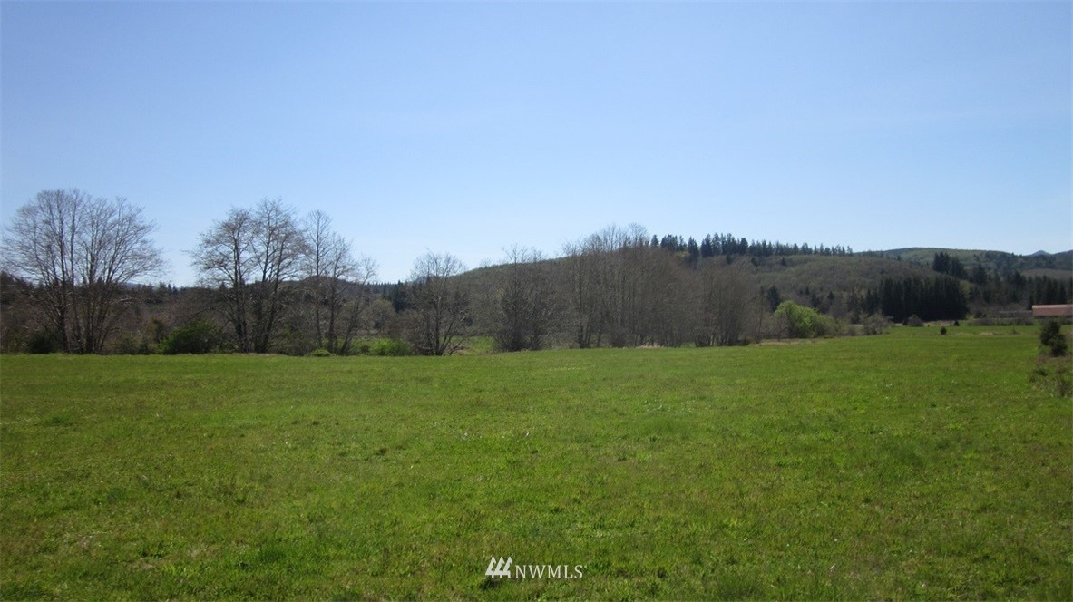-xxx Xxx Doyle Road Raymond, WA 98577 - Photo 18 of 24 Gallery Image 18