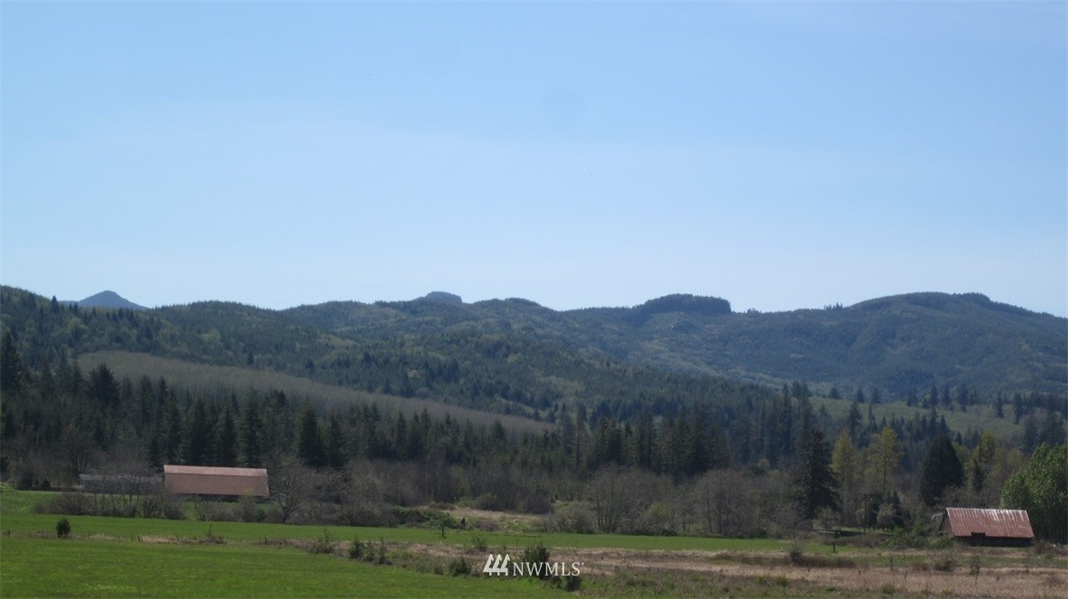 -xxx Xxx Doyle Road Raymond, WA 98577 - Photo 20 of 24 Gallery Image 20
