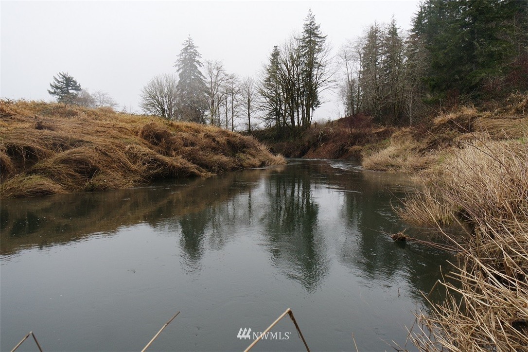 -xxx Xxx Doyle Road Raymond, WA 98577 - Photo 3 of 24 Gallery Image 3