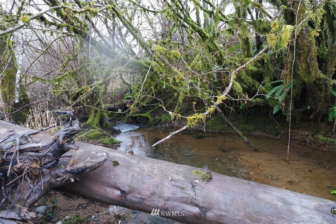 -xxx Xxx Doyle Road Raymond, WA 98577 - Photo 21 of 24 Gallery Image 21