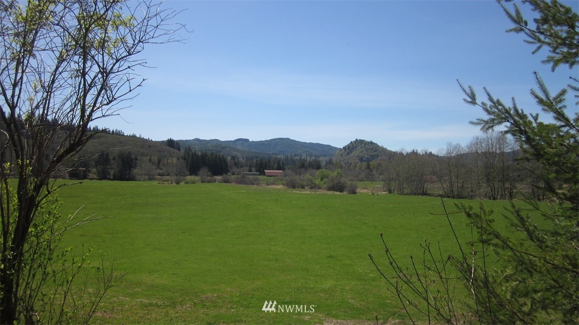 -xxx Xxx Doyle Road Raymond, WA 98577 - Photo 4 of 24 Gallery Image 4