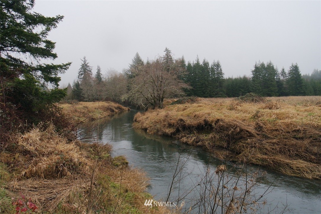 -xxx Xxx Doyle Road Raymond, WA 98577 - Photo 10 of 24 Gallery Image 10