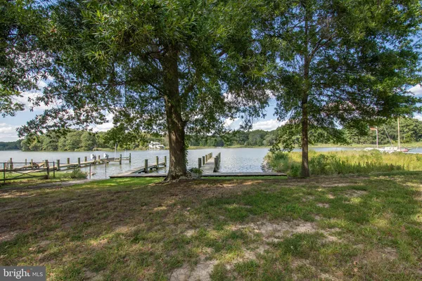 a view of lake with trees