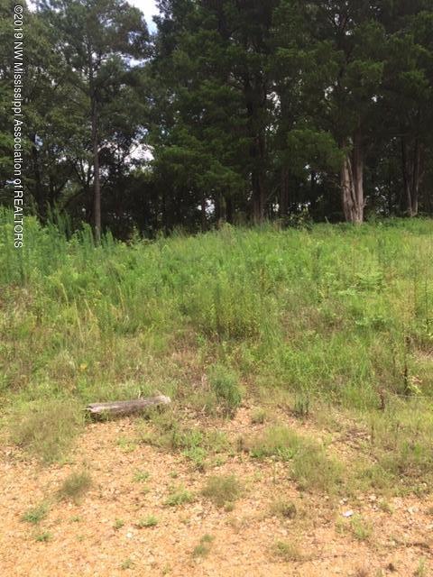 6 Berta Road Byhalia, MS 38611 - Photo 3 of 10 IMG_6538