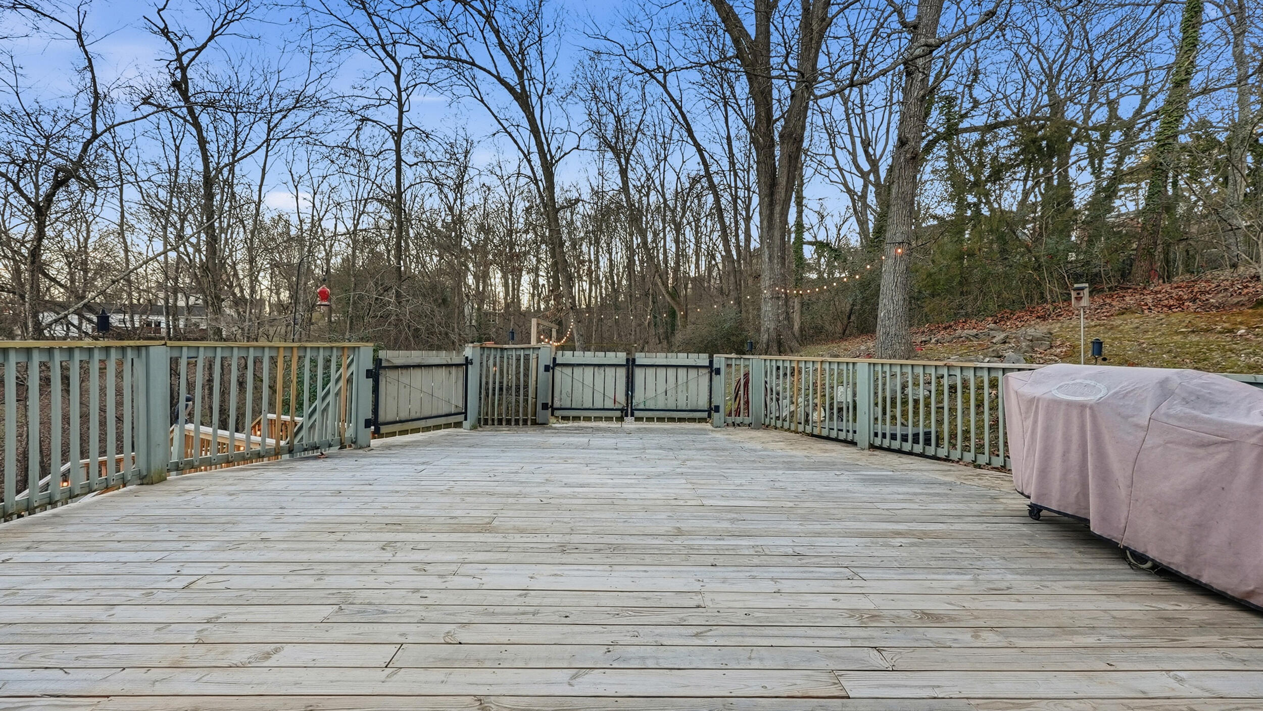6321 Ridge Lake Road Hixson, TN 37343 - Photo 33 of 39 Back Deck
