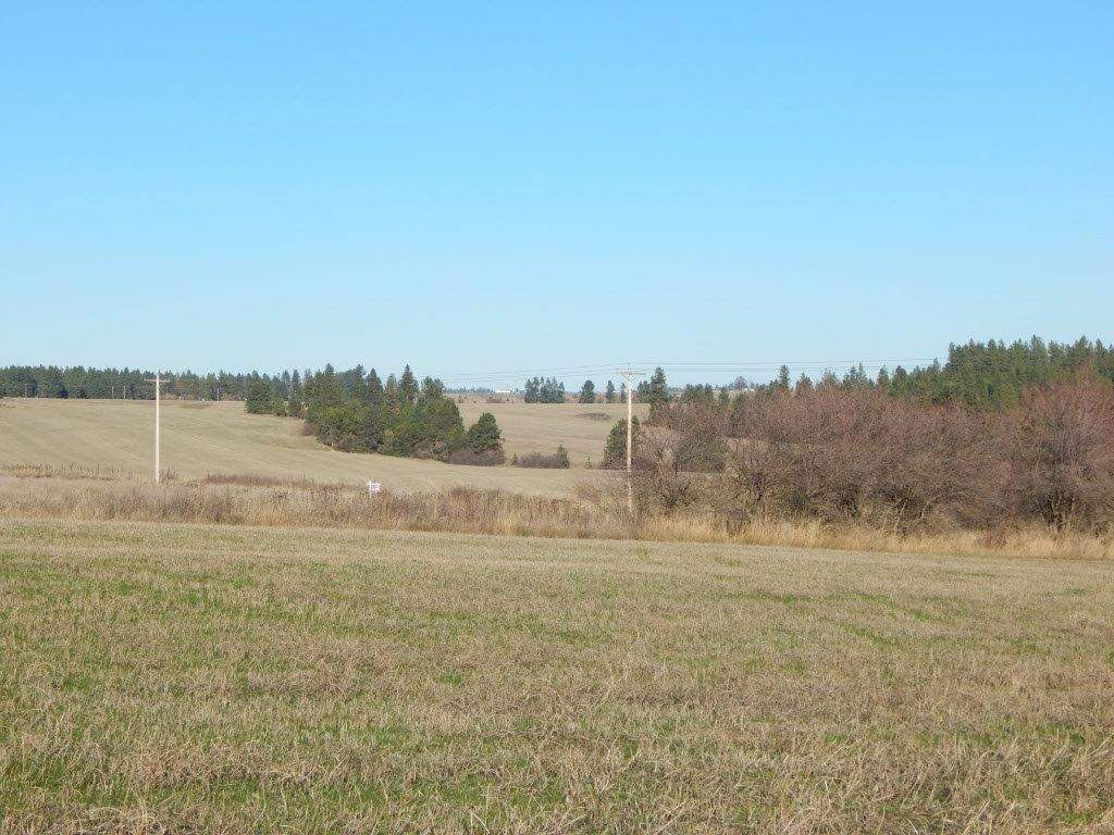 17313 North Austin Road Spokane, WA 99208 - Photo 12 of 15