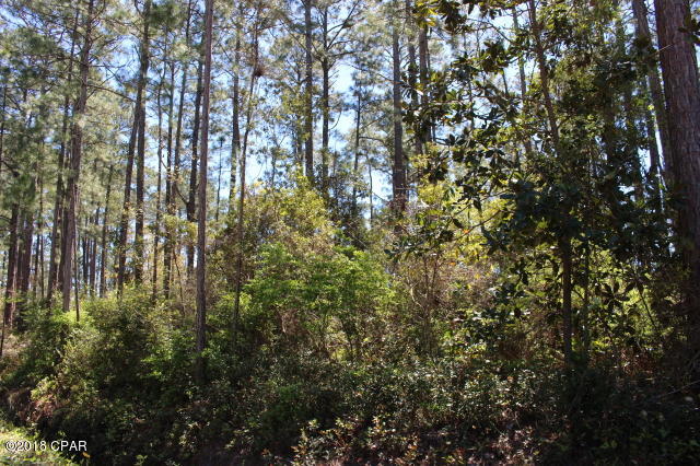 0 Peppertree Road Santa Rosa Beach, FL 32459 - Photo 3 of 9