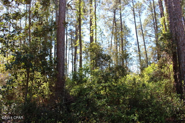 0 Peppertree Road Santa Rosa Beach, FL 32459 - Photo 4 of 9