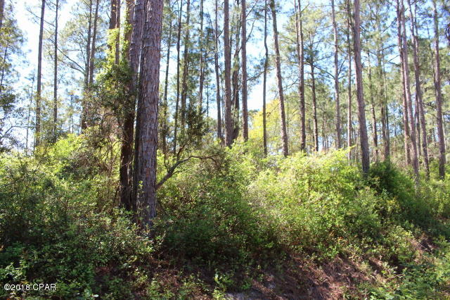 0 Peppertree Road Santa Rosa Beach, FL 32459 - Photo 5 of 9