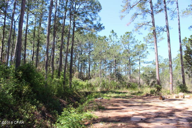 0 Peppertree Road Santa Rosa Beach, FL 32459 - Photo 6 of 9