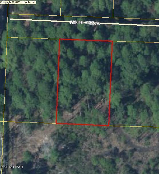 0 Peppertree Road Santa Rosa Beach, FL 32459 - Photo 7 of 9