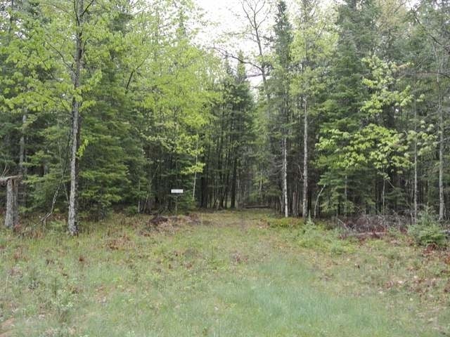 Lot 25 Garrett's Trail Rhinelander, WI 54501 - Photo 2 of 9 Gallery Image 2