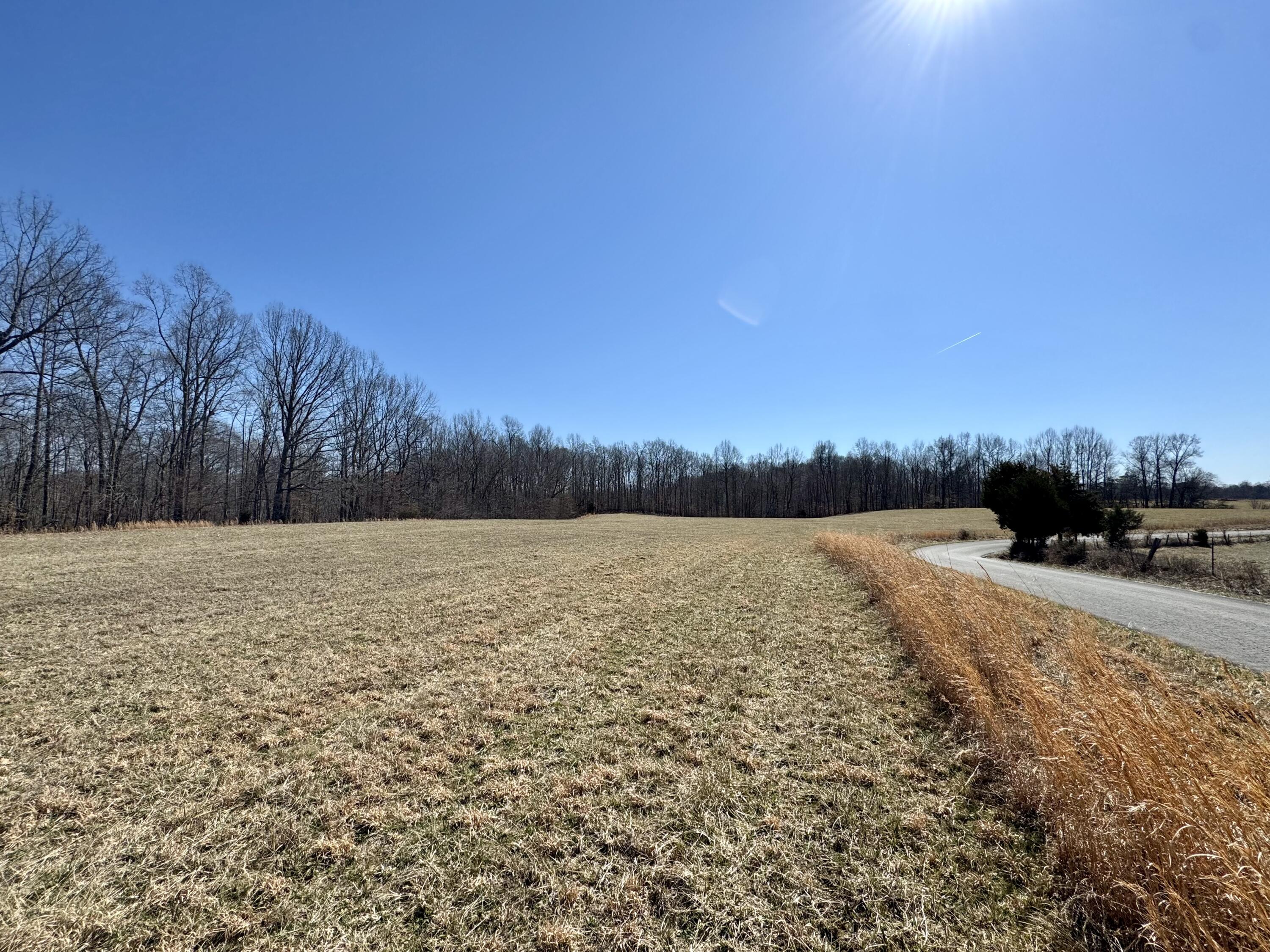 Lot 1 Parks Ridge Road Russell Springs, KY 42642 - Photo 9 of 20 IMG_1794