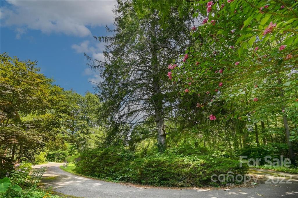 210 Christ School Road Arden, NC 28704 - Photo 28 of 42 Gallery Image 28