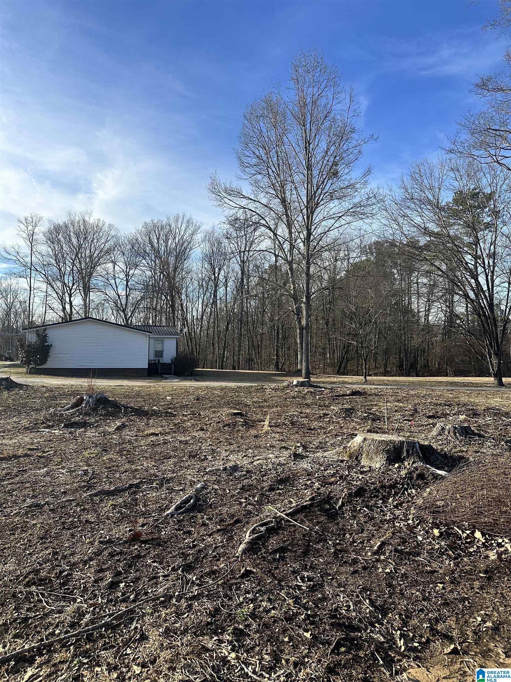 500 Haynes Road Altoona, AL 35952 - Photo 29 of 50