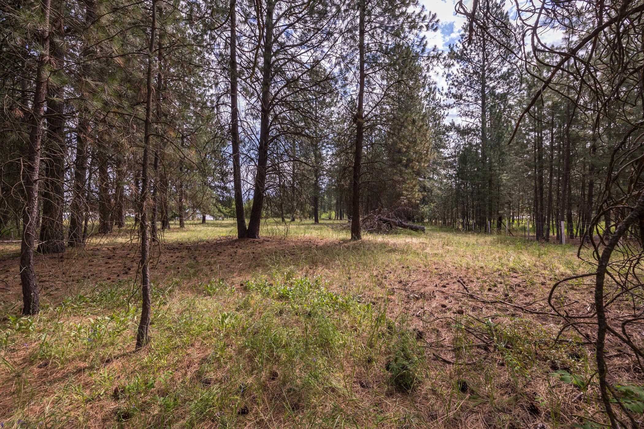 Xx North Tudor Road Deer Park, WA 99006 - Photo 11 of 30 Gallery Image 11