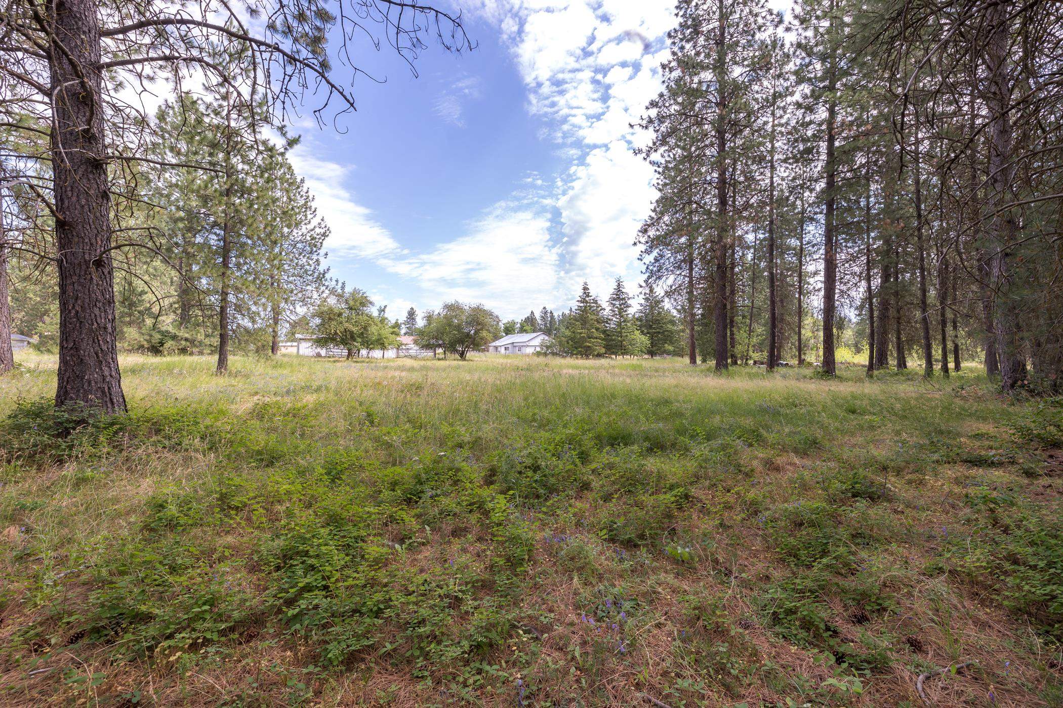 Xx North Tudor Road Deer Park, WA 99006 - Photo 14 of 30 Gallery Image 14
