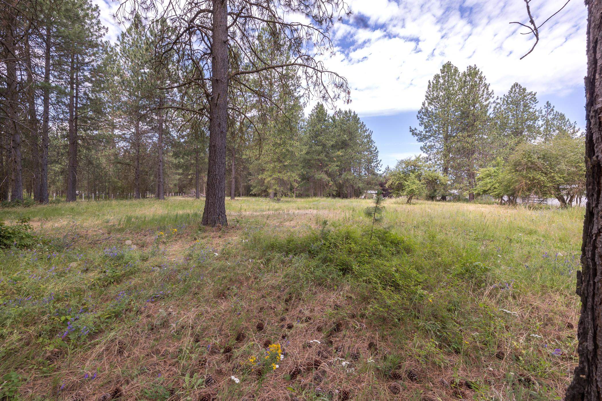 Xx North Tudor Road Deer Park, WA 99006 - Photo 17 of 30 Gallery Image 17