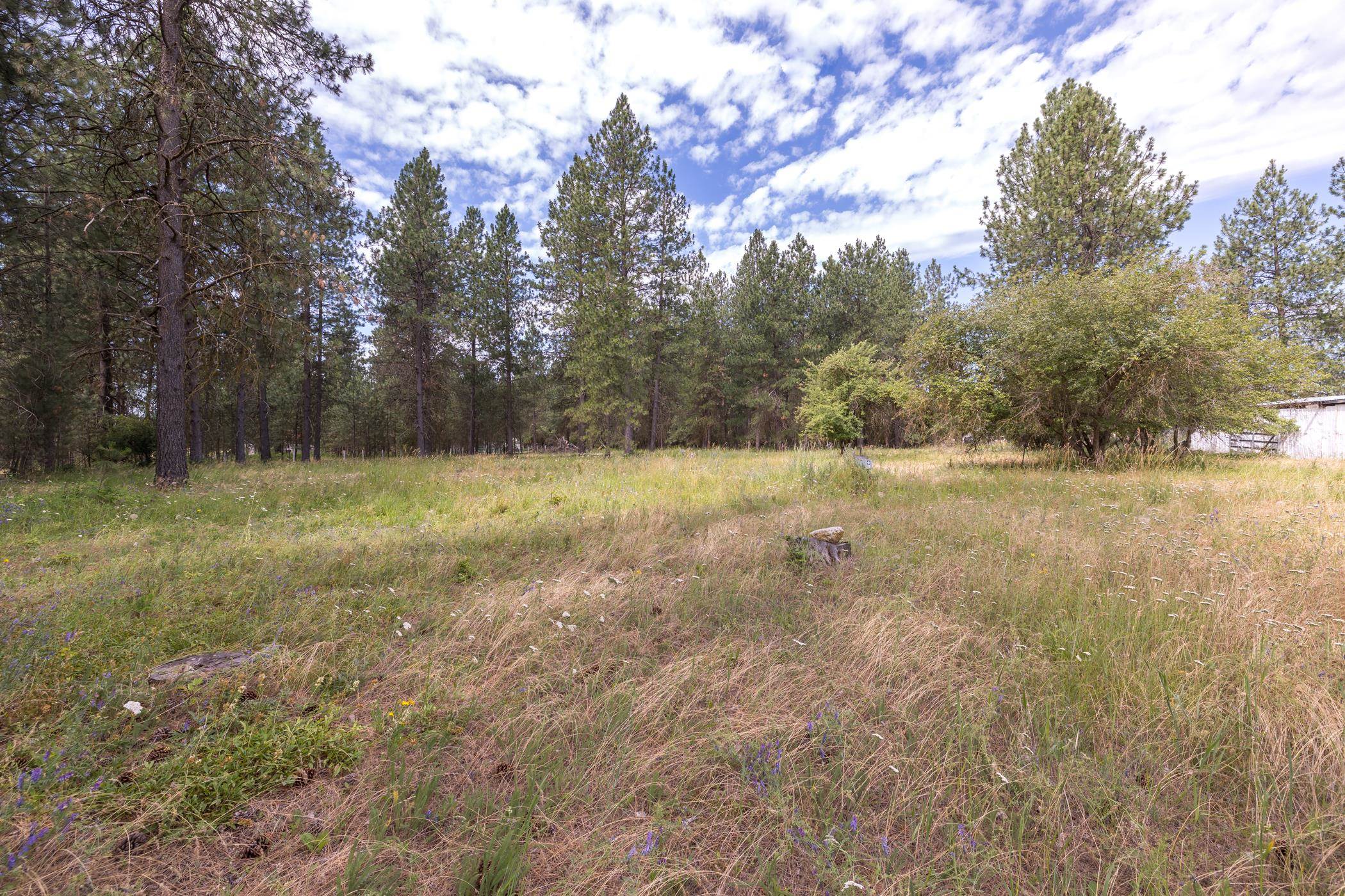 Xx North Tudor Road Deer Park, WA 99006 - Photo 18 of 30 Gallery Image 18