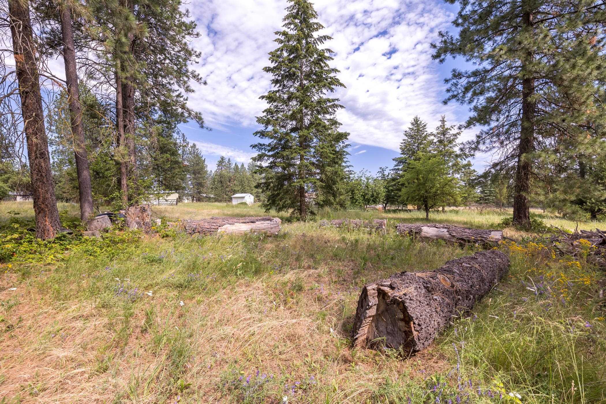 Xx North Tudor Road Deer Park, WA 99006 - Photo 19 of 30 Gallery Image 19