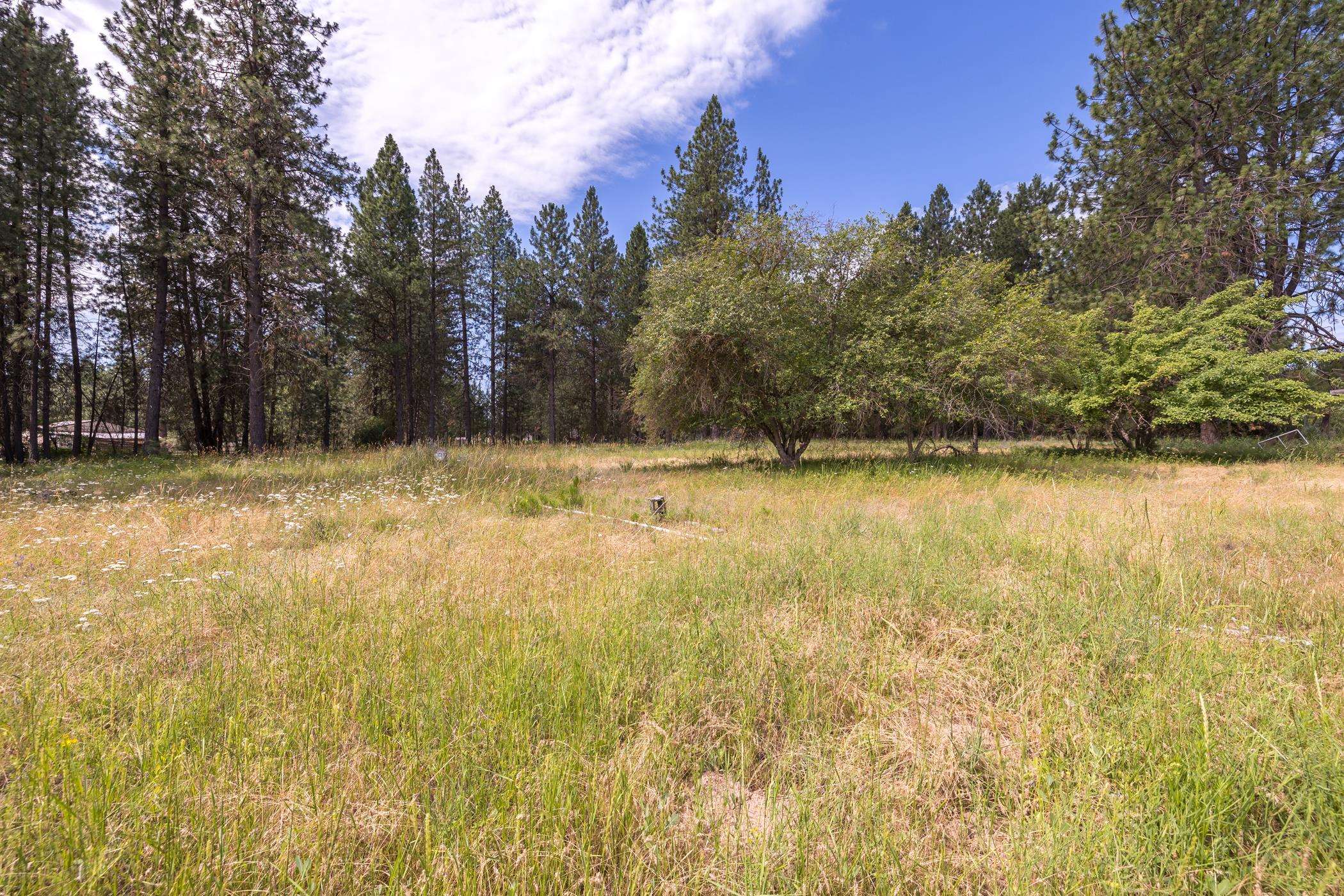 Xx North Tudor Road Deer Park, WA 99006 - Photo 2 of 30 Gallery Image 2