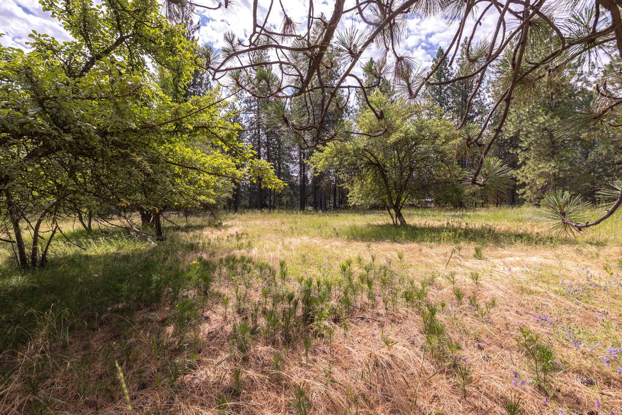 Xx North Tudor Road Deer Park, WA 99006 - Photo 3 of 30 Gallery Image 3