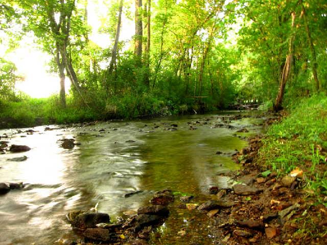 200 Old Railroad Road Prospect, TN 38477 - Photo 2 of 20 a view of a lake view