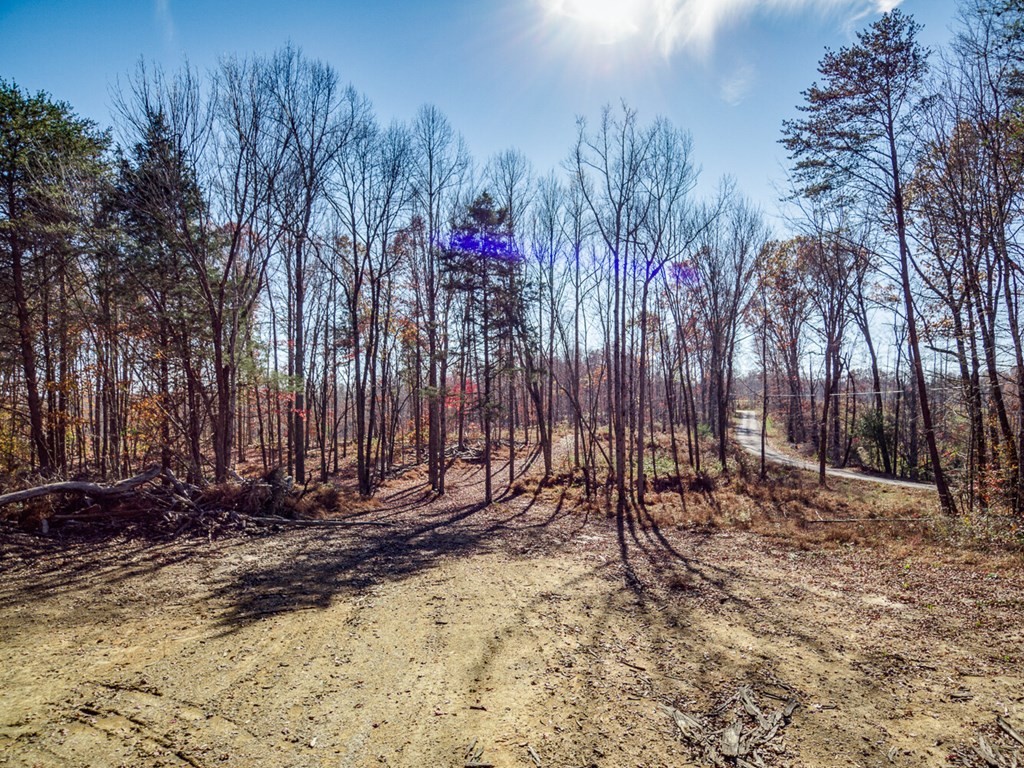 2 Back Bone Road Sparta, TN 38583 - Photo 13 of 40 a view of a backyard with trees