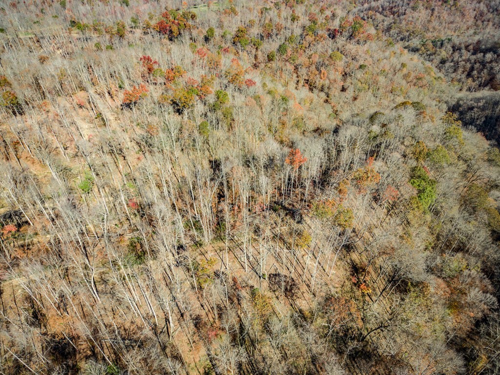 2 Back Bone Road Sparta, TN 38583 - Photo 20 of 40
