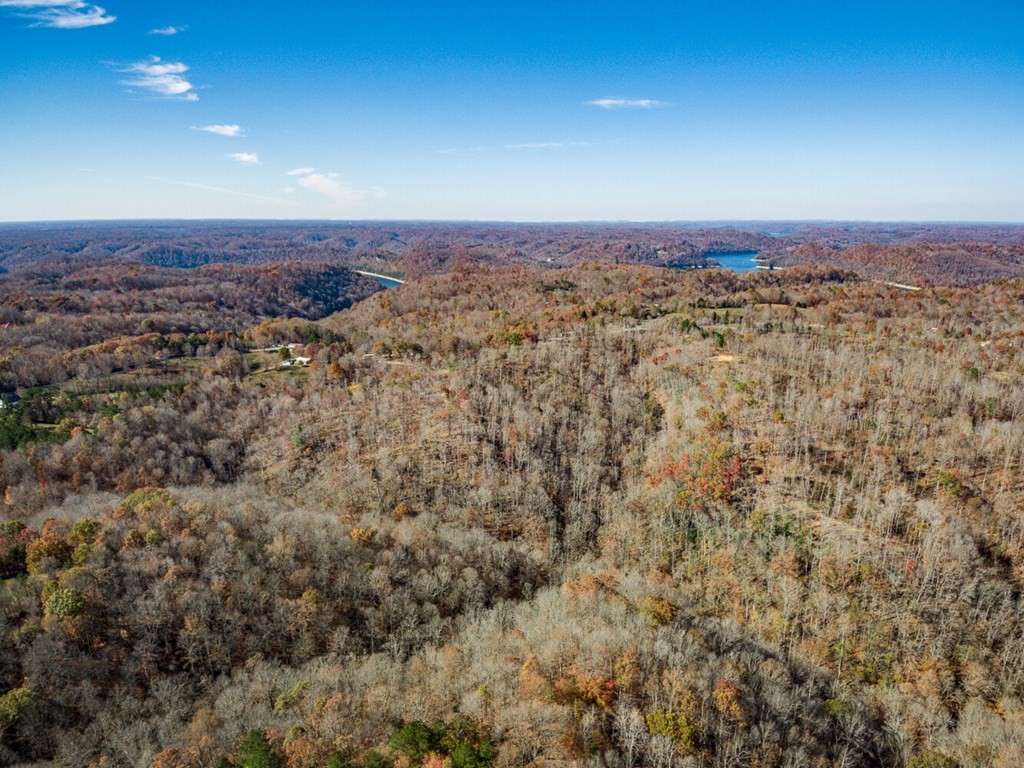 2 Back Bone Road Sparta, TN 38583 - Photo 30 of 40 an aerial view of houses with a yard