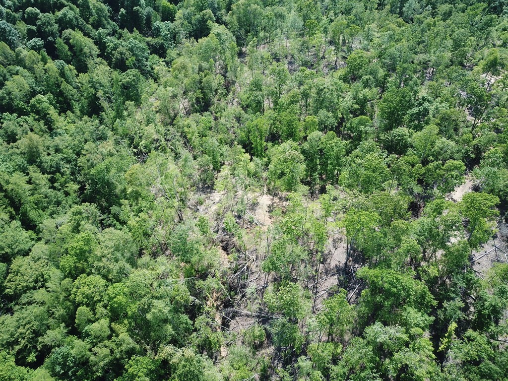 2 Back Bone Road Sparta, TN 38583 - Photo 6 of 40