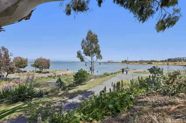 a view of a lake with a beach