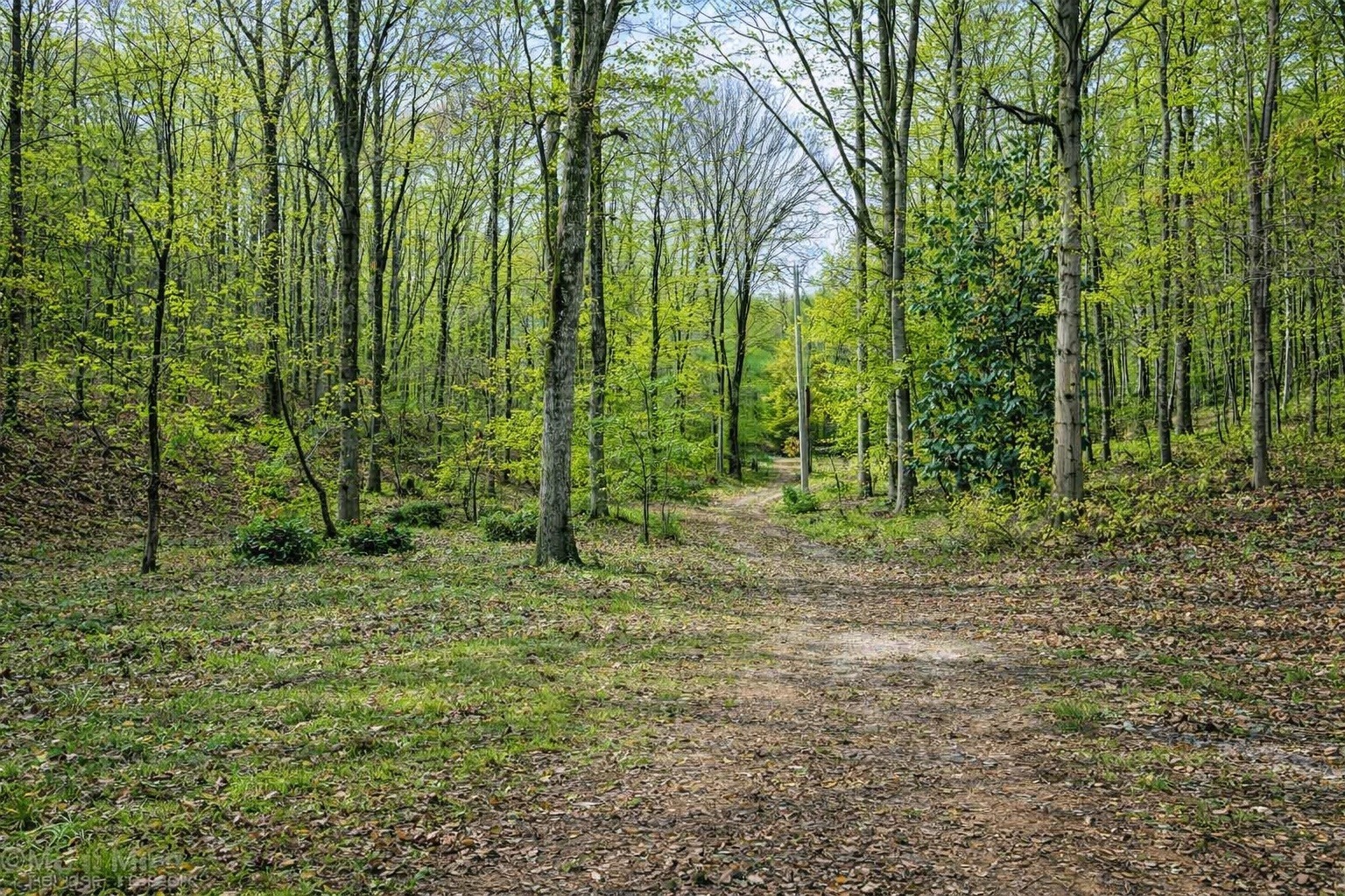 1135 West Mink Branch Road Waynesboro, TN 38485 - Photo 57 of 83