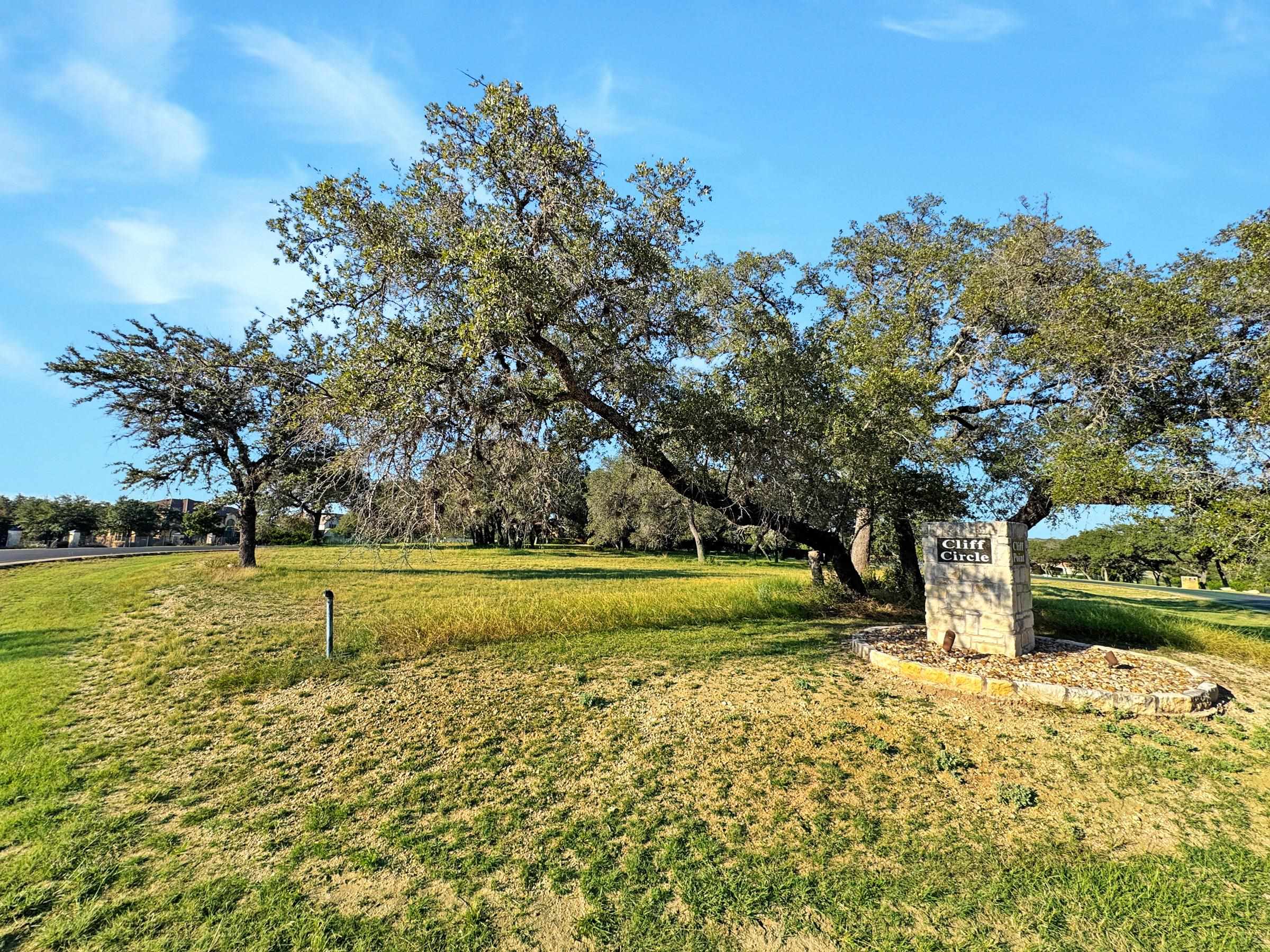 25700 Cliff Circle Spicewood, TX 78669 - Photo 6 of 25 a view of a yard with an trees