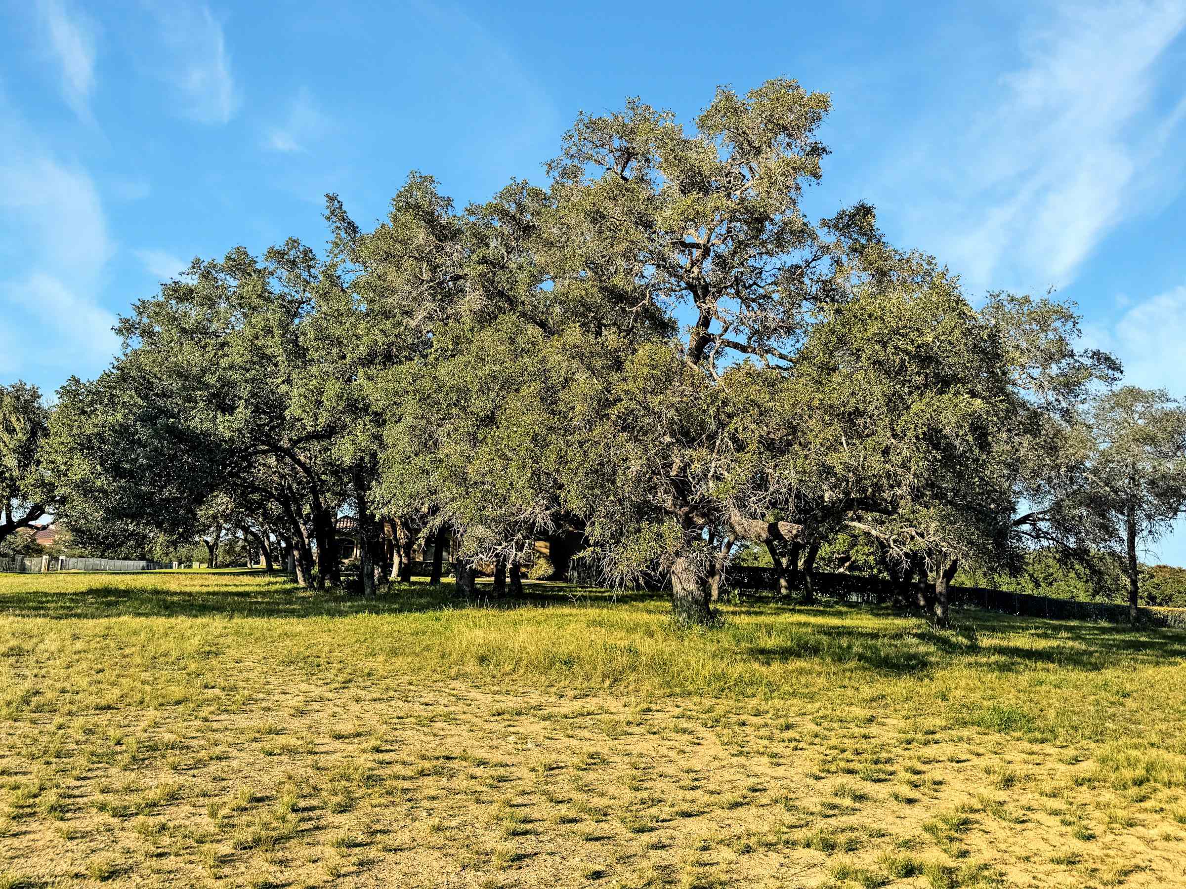 25700 Cliff Circle Spicewood, TX 78669 - Photo 7 of 25 a view of swimming pool with an outdoor space and seating area