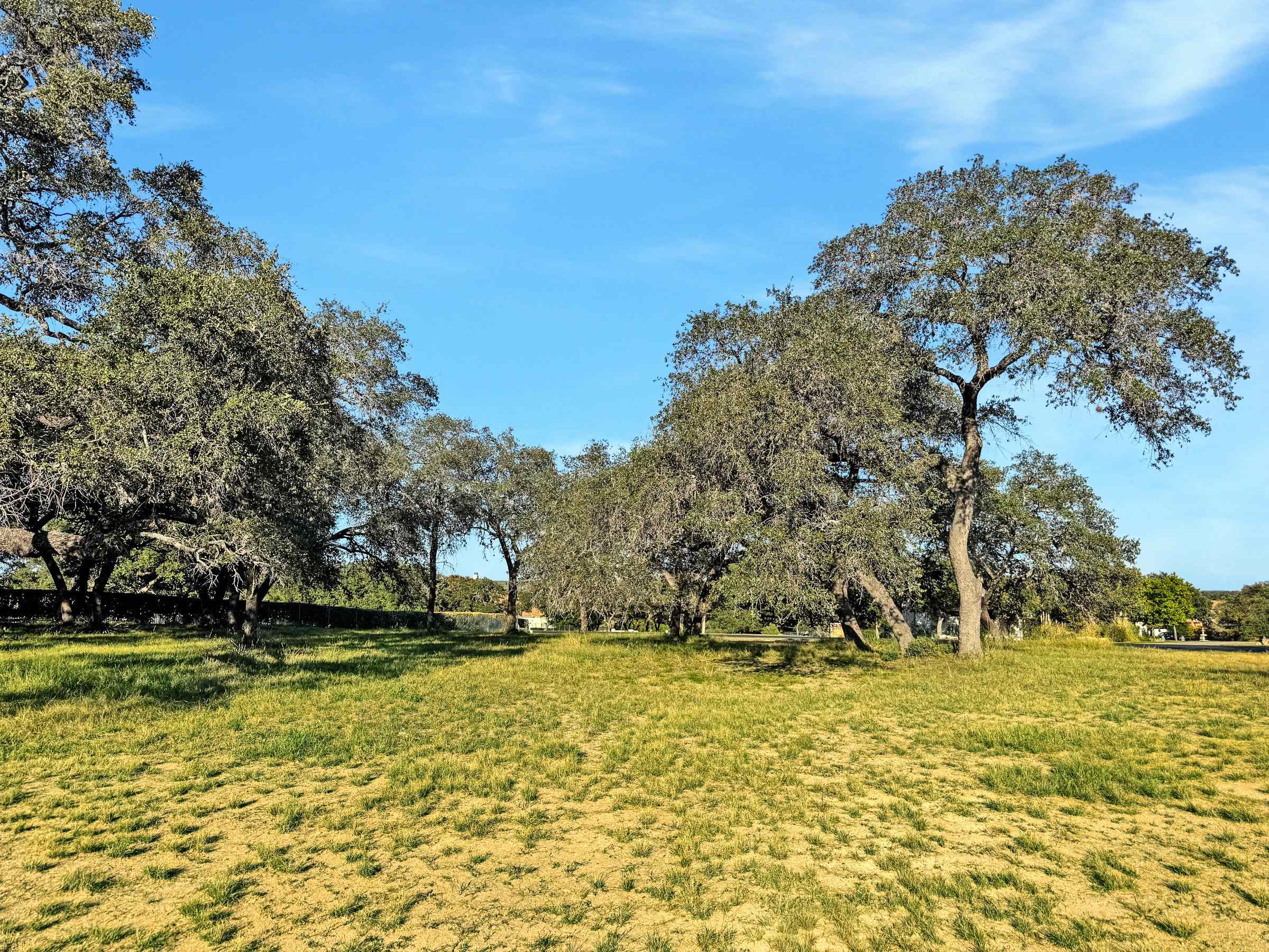 25700 Cliff Circle Spicewood, TX 78669 - Photo 9 of 25 a view of swimming pool with an outdoor space