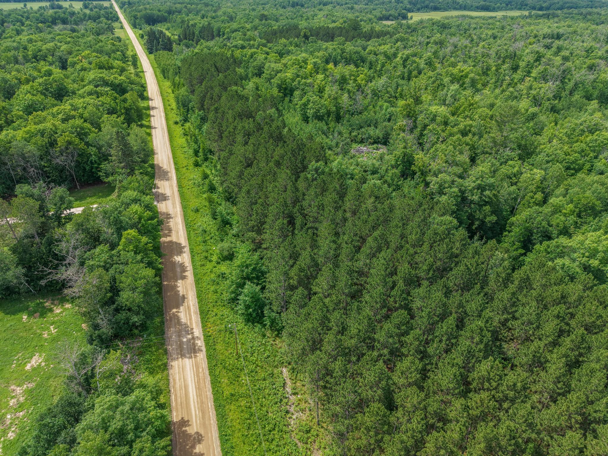 80-acres Pike Bay Loop Road Northwest Cass Lake, MN 56633 - Photo 2 of 27