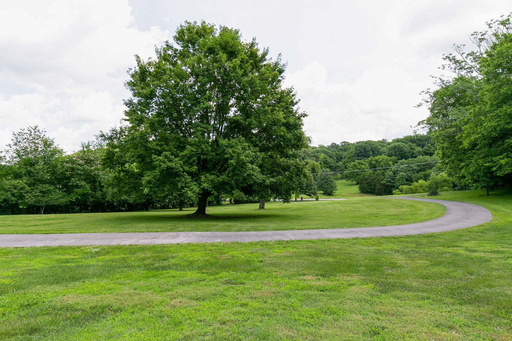 6453 Arno Road College Grove, TN 37046 - Photo 26 of 28 Gallery Image 26