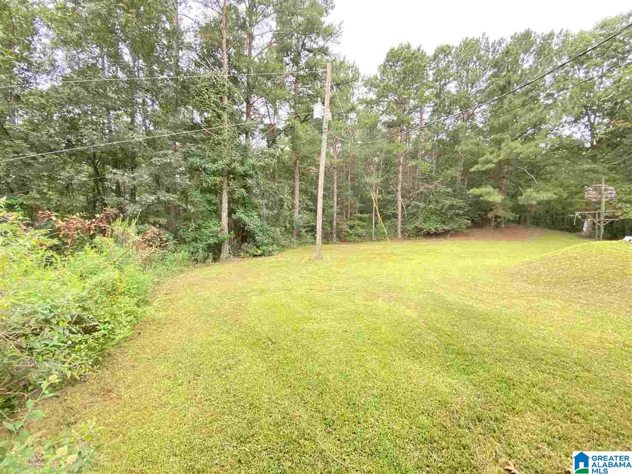 4169 Cook Springs Road Pell City, AL 35125 - Photo 6 of 35